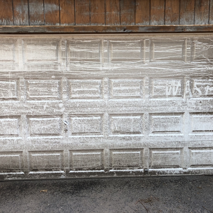 Garage door before