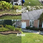 Our Work