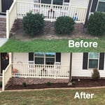 Our Work