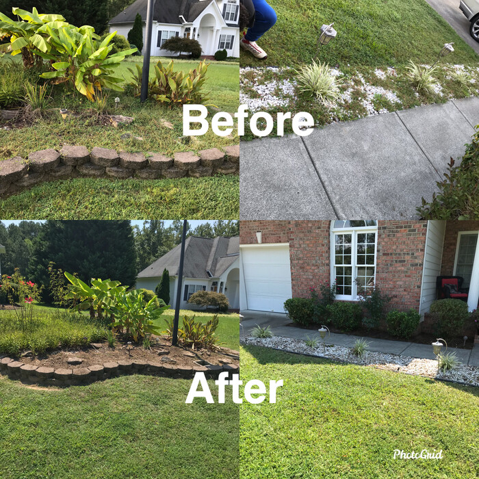 Our Work