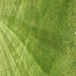 Mowing