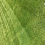 Mowing