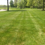 Mowing
