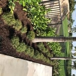 Landscape Design & Installation