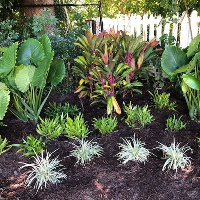 Tropical design