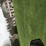 Gardening and lawn care
