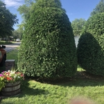 Trimming