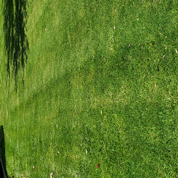 moing edging