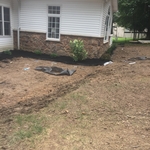 mulch and plants