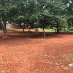 Lawn re-seeding