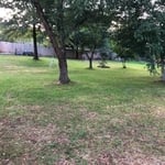 Looking Green!