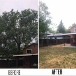 Tree Removal