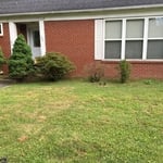 Trimming shrubs