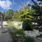 yard clean up