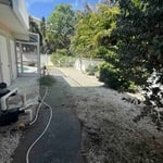 yard clean up