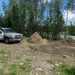 Post tree removal