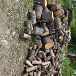 Wood pile