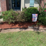 Front Bushes