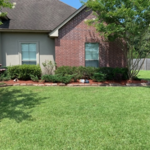 Front Lawn Project