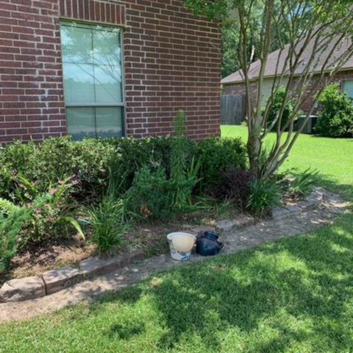 Front Lawn Project
