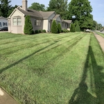 Weekly Maintained Yard