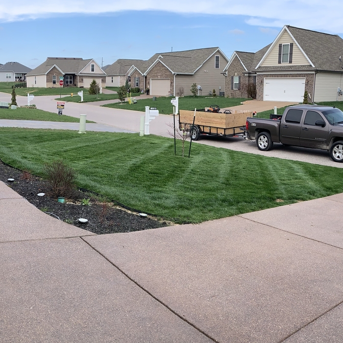 Lawn Mowing