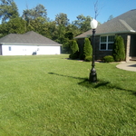 yard i cut in carterviller