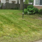 Front yard