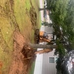Sewer dig, tree and stump removal