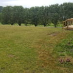 Lawn Post Mow