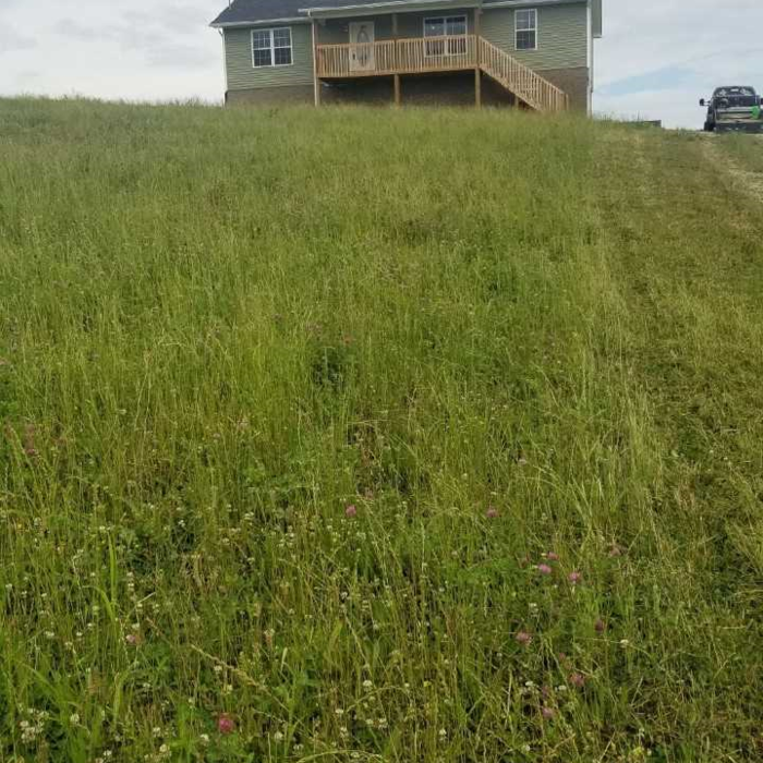 Mowing