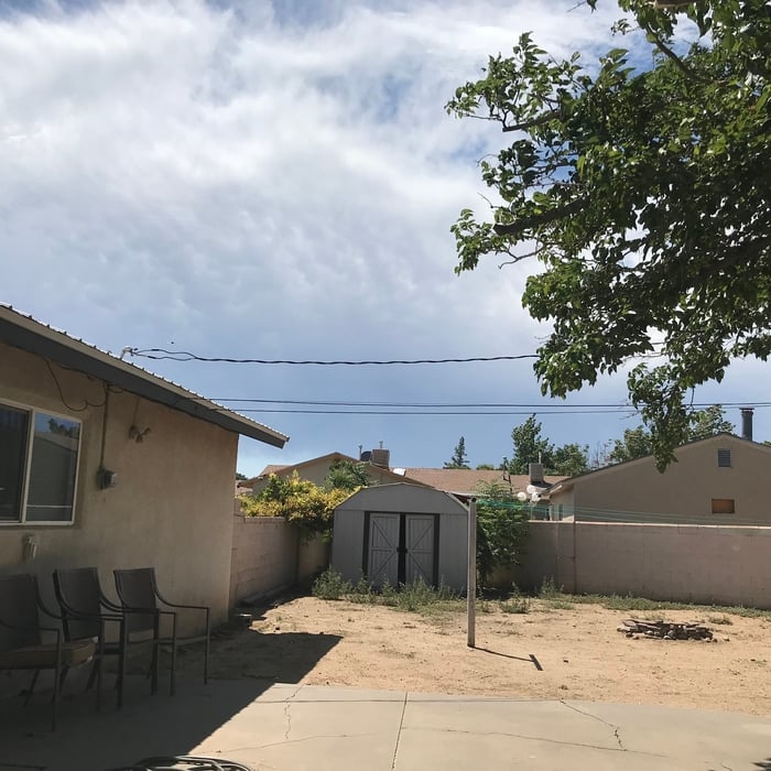 Tree Trimming away from house.