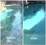 Pool Clean