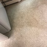 Carpet cleaning