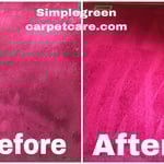 Carpet cleaning