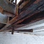 Stair rust