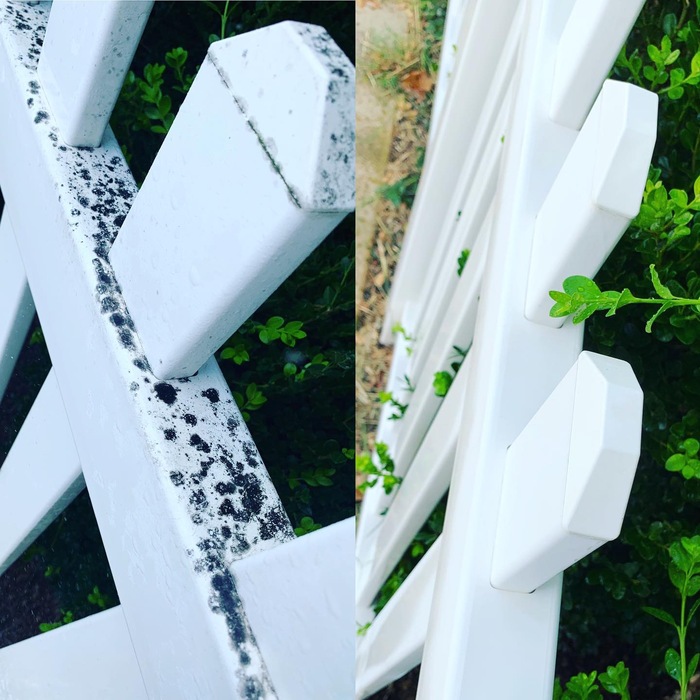 Fence Restoration