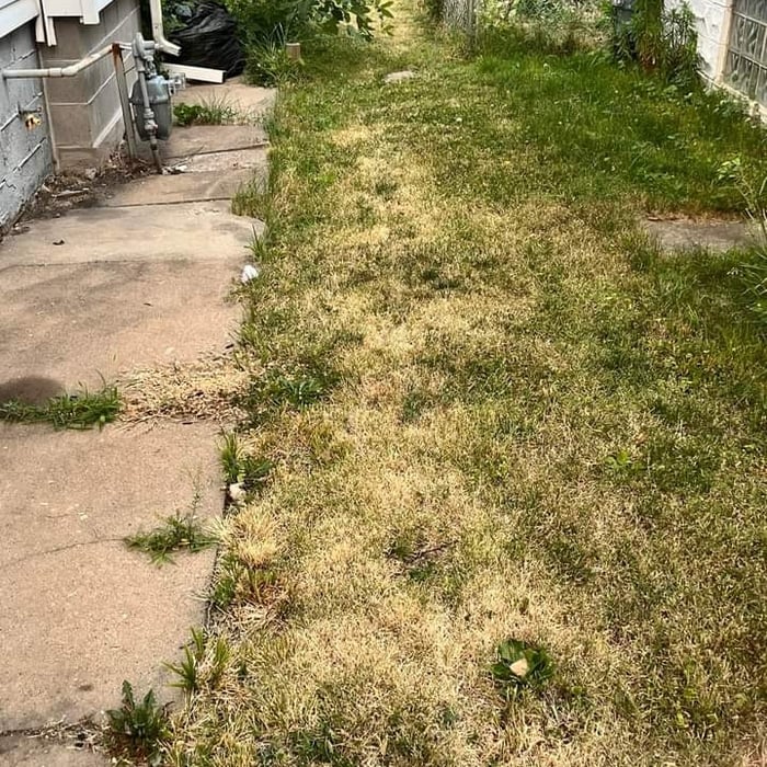 Broken sidewalk