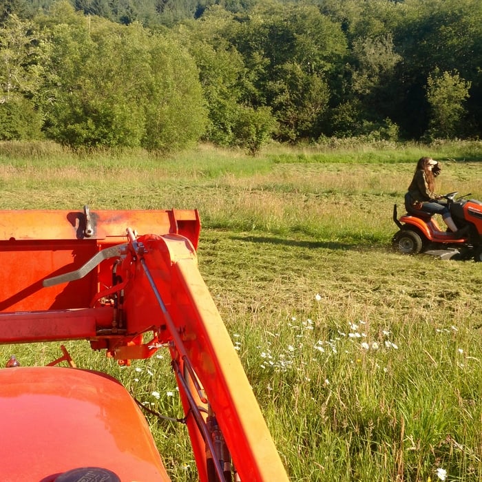 Orange you glad we mowed your field?