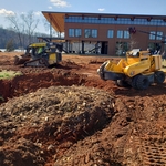 Buried stump after grading of land