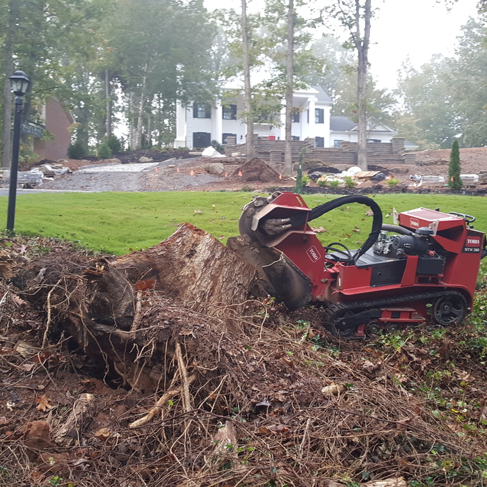 Blow over from a storm in Clemson