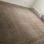 Carpet Clean