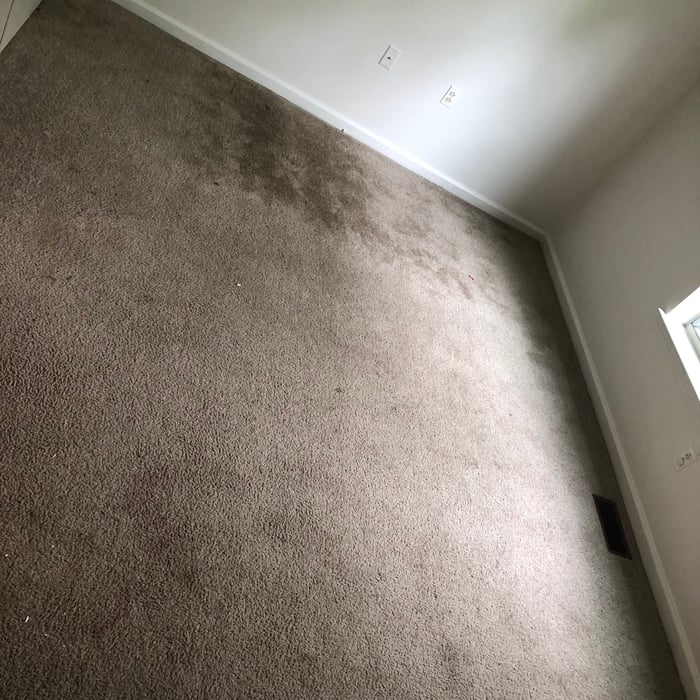 Pet Urine Odor Before