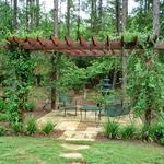 Pergola and Patio