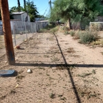 alley grass removal