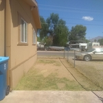 yard clean up