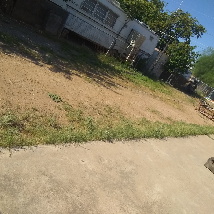 yard clean up