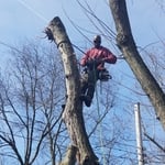 Our work