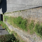 Shaw ave ferndale