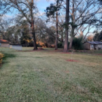 Lawn Mowing edging